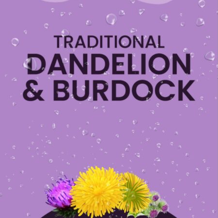 FizzAid Dandelion and Burdock 12ltrs